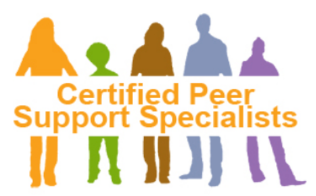 50 Hour PSS Training and 20 Hour Wrap Training (Full Package)